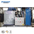 Hot-Sale Seawater Marine Use 0.5 Ton Flake Ice Making Machine with High Quality